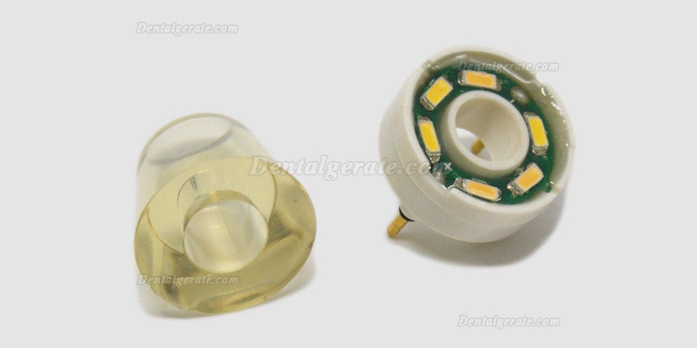 Baola&reg; L3 Ultraschall Zahnsteinentferner Handst&uuml;ck mit LED EMS Kompatibel